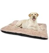 Small Dog Bed Cat Bed with Hooded Blanket — collection imagery