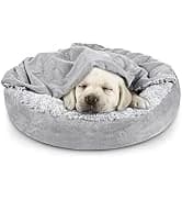 Small Dog Bed Cat Bed with Hooded Blanket — collection imagery