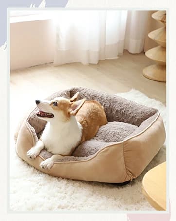 Small Dog Bed Cat Bed with Hooded Blanket — collection imagery