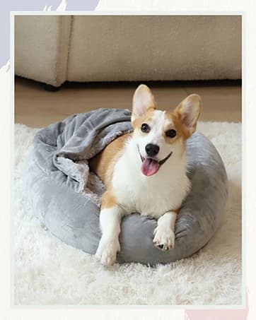 Small Dog Bed Cat Bed with Hooded Blanket — collection imagery