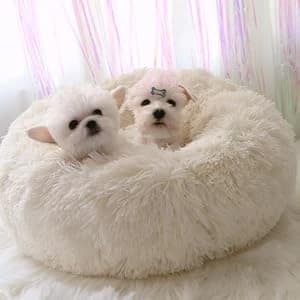 Cat Bed for Indoor Cats — Mini Plush Self Warming Kitten Bed — Choose size