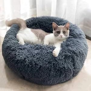Cat Bed for Indoor Cats — Mini Plush Self Warming Kitten Bed — Choose size