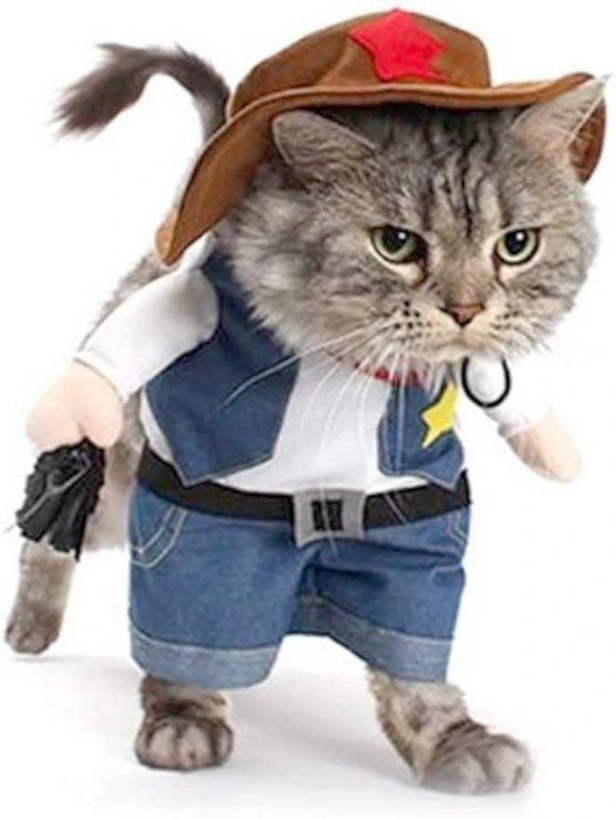 Cowboy Dog Costume with Hat - Blue Cat and Small Dog Halloween Costume