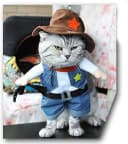 Cowboy Dog Costume with Hat - Blue Cat and Small Dog Halloween Costume