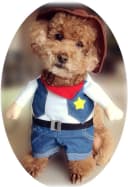Cowboy Dog Costume with Hat - Blue Cat and Small Dog Halloween Costume