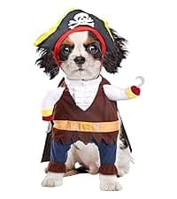 Cowboy Dog Costume with Hat - Blue Cat and Small Dog Halloween Costume — collection imagery