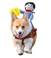 Cowboy Dog Costume with Hat - Blue Cat and Small Dog Halloween Costume — collection imagery