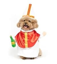 Cowboy Dog Costume with Hat - Blue Cat and Small Dog Halloween Costume — collection imagery