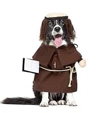 Cowboy Dog Costume with Hat - Blue Cat and Small Dog Halloween Costume — collection imagery