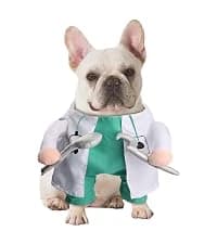 Cowboy Dog Costume with Hat - Blue Cat and Small Dog Halloween Costume — collection imagery
