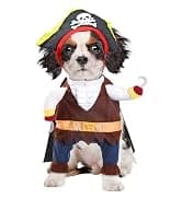 Cowboy Dog Costume with Hat - Blue Cat and Small Dog Halloween Costume — collection imagery