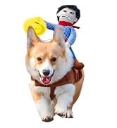 Cowboy Dog Costume with Hat - Blue Cat and Small Dog Halloween Costume — collection imagery