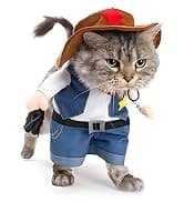 Cowboy Dog Costume with Hat - Blue Cat and Small Dog Halloween Costume — collection imagery