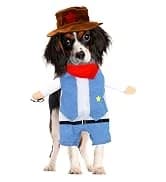 Cowboy Dog Costume with Hat - Blue Cat and Small Dog Halloween Costume — collection imagery