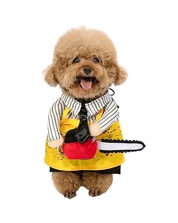 Cowboy Dog Costume with Hat - Blue Cat and Small Dog Halloween Costume — collection imagery