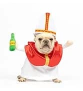 Cowboy Dog Costume with Hat - Blue Cat and Small Dog Halloween Costume — collection imagery