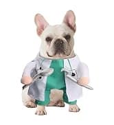 Cowboy Dog Costume with Hat - Blue Cat and Small Dog Halloween Costume — collection imagery