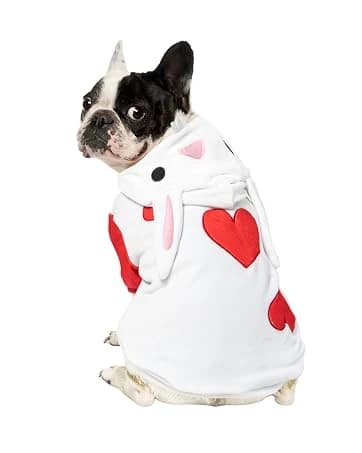 Cowboy Dog Costume with Hat - Blue Cat and Small Dog Halloween Costume — collection imagery