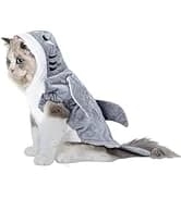 Cowboy Dog Costume with Hat - Blue Cat and Small Dog Halloween Costume — collection imagery