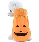Cowboy Dog Costume with Hat - Blue Cat and Small Dog Halloween Costume — collection imagery
