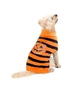 Cowboy Dog Costume with Hat - Blue Cat and Small Dog Halloween Costume — collection imagery