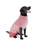 Cowboy Dog Costume with Hat - Blue Cat and Small Dog Halloween Costume — collection imagery
