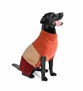 Cowboy Dog Costume with Hat - Blue Cat and Small Dog Halloween Costume — collection imagery