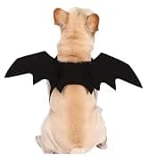 Cowboy Dog Costume with Hat - Blue Cat and Small Dog Halloween Costume — collection imagery