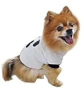 Cowboy Dog Costume with Hat - Blue Cat and Small Dog Halloween Costume — collection imagery
