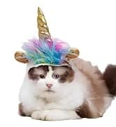 Cowboy Dog Costume with Hat - Blue Cat and Small Dog Halloween Costume — collection imagery