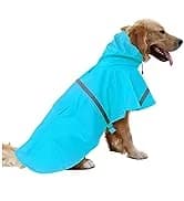 Cowboy Dog Costume with Hat - Blue Cat and Small Dog Halloween Costume — collection imagery