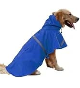 Cowboy Dog Costume with Hat - Blue Cat and Small Dog Halloween Costume — collection imagery