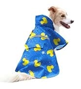 Cowboy Dog Costume with Hat - Blue Cat and Small Dog Halloween Costume — collection imagery