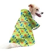 Cowboy Dog Costume with Hat - Blue Cat and Small Dog Halloween Costume — collection imagery