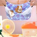 2 Pcs Guinea Pig Rat Hammock for Pet — Purple