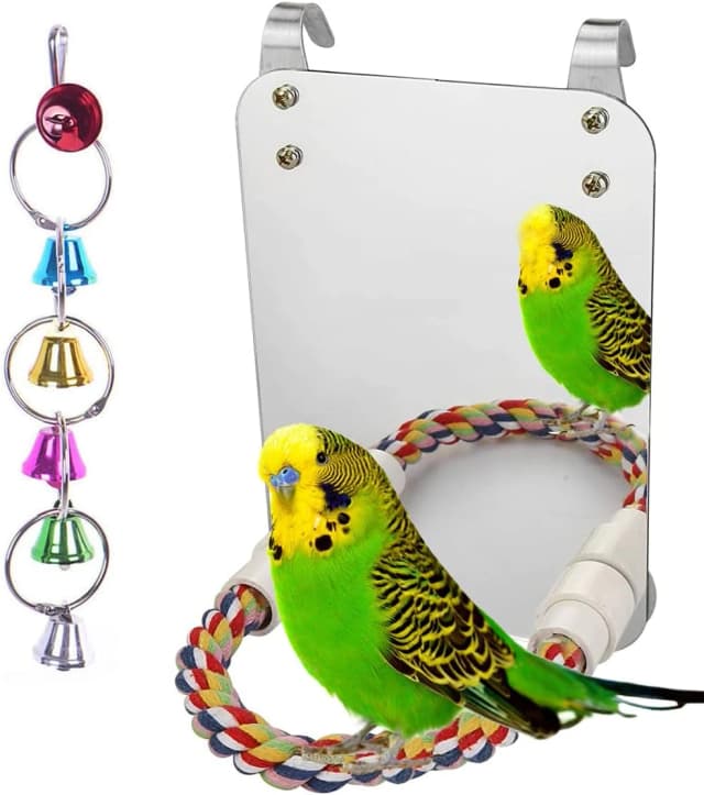 7" Bird Mirror with Rope Perch Bird Toys Swing
