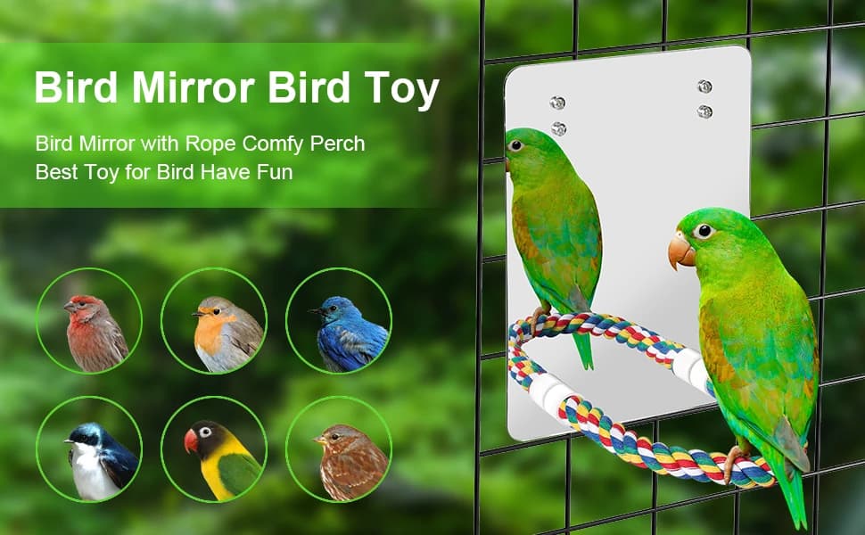 7" Bird Mirror with Rope Perch Bird Toys Swing — product details