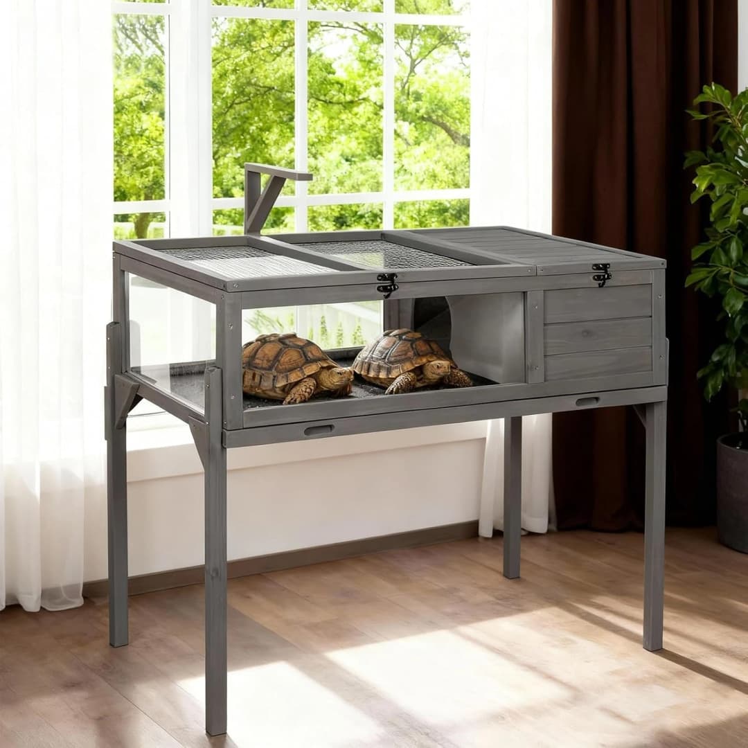 Tortoise Habitat Indoor and Outdoor