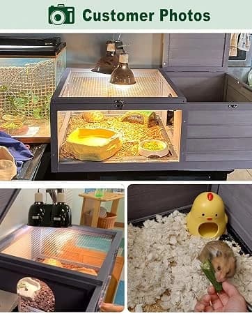 Tortoise Habitat Indoor and Outdoor — collection imagery