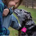 Dog Tag Silencer — Black Pawprint - Quiet Noisy Pet Tags - Fits Up to Four Pet IDs - Dog Tag Cover Protects