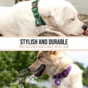 Dog Tag Silencer — Black Pawprint - Quiet Noisy Pet Tags - Fits Up to Four Pet IDs - Dog Tag Cover Protects