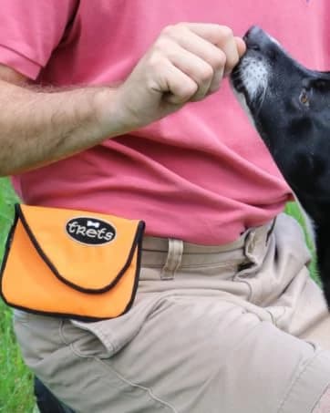 Dog Tag Silencer — Black Pawprint - Quiet Noisy Pet Tags - Fits Up to Four Pet IDs - Dog Tag Cover Protects — collection imagery