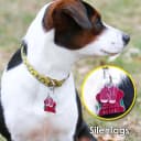 Pet Tag Silencer Clip It On — Jingle's Gone!