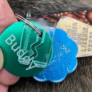 Pet Tag Silencer Clip It On — Jingle's Gone! — Read tags without removing