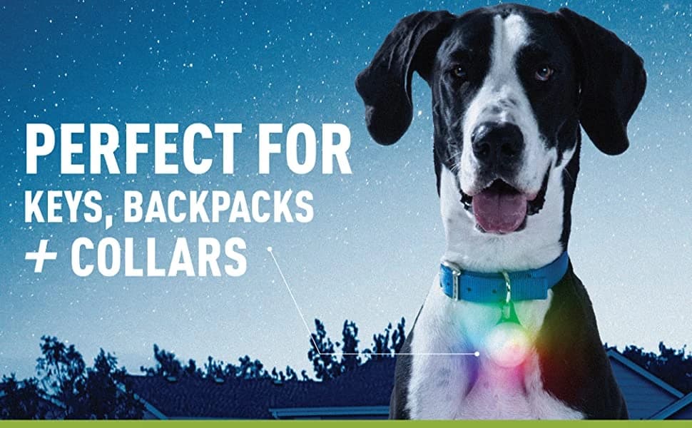 SpotLit XL Rechargeable Collar Light - Disc-O Select - Clip-On Pet Accessory for Nighttime Visibility — product details