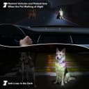 Dog Collar Light — 4 Modes Dog Lights for Night Walking