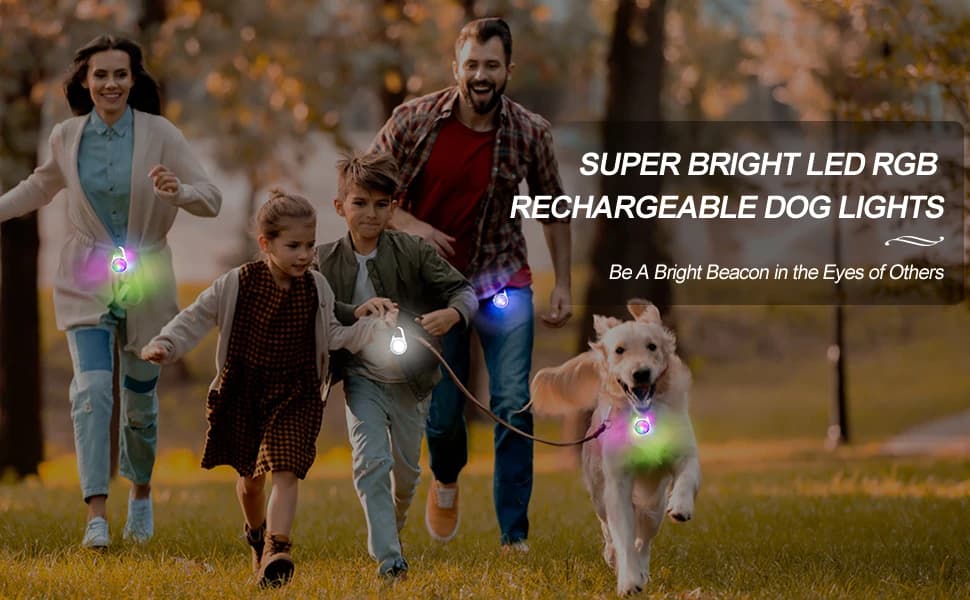 Dog Collar Light — 4 Modes Dog Lights for Night Walking — product details
