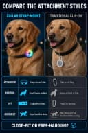 2-Pack Dog Collar Light with Memory Function