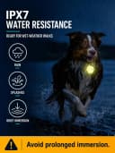 2-Pack Dog Collar Light with Memory Function