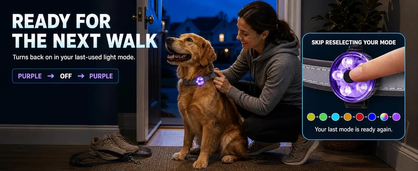 2-Pack Dog Collar Light with Memory Function — collection imagery